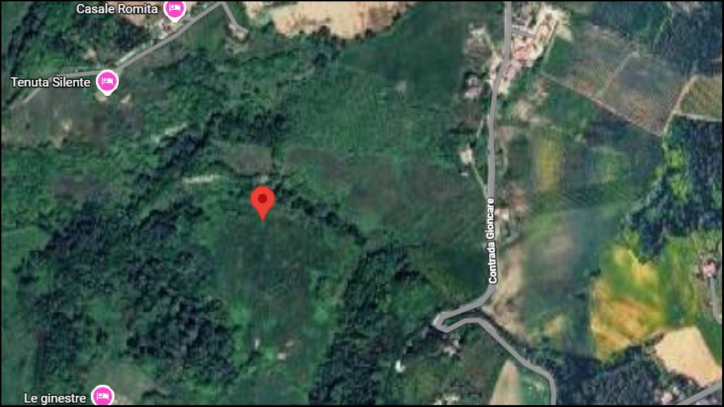 immagine annuncio 11 di 12