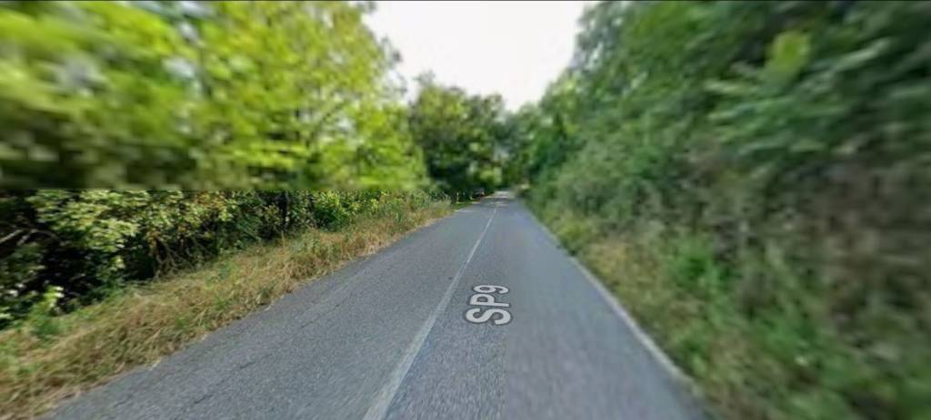 immagine annuncio 5 di 12