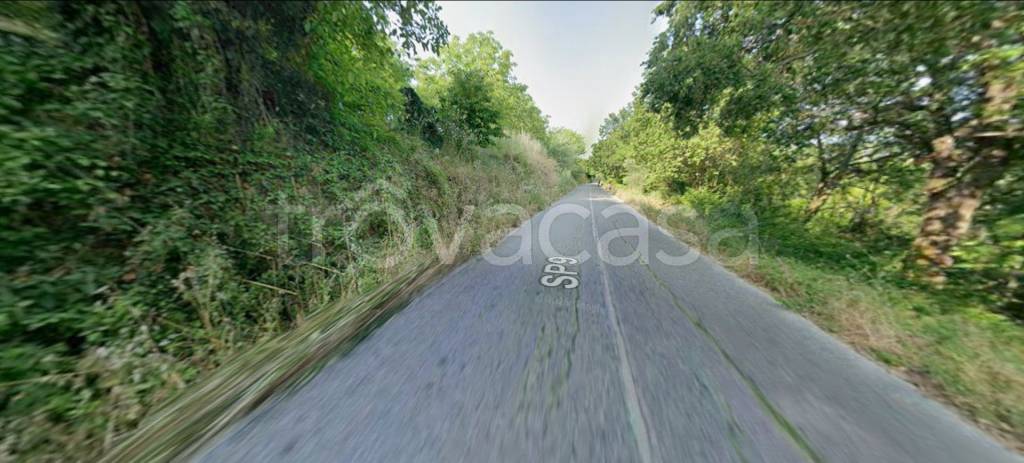 immagine annuncio 9 di 12