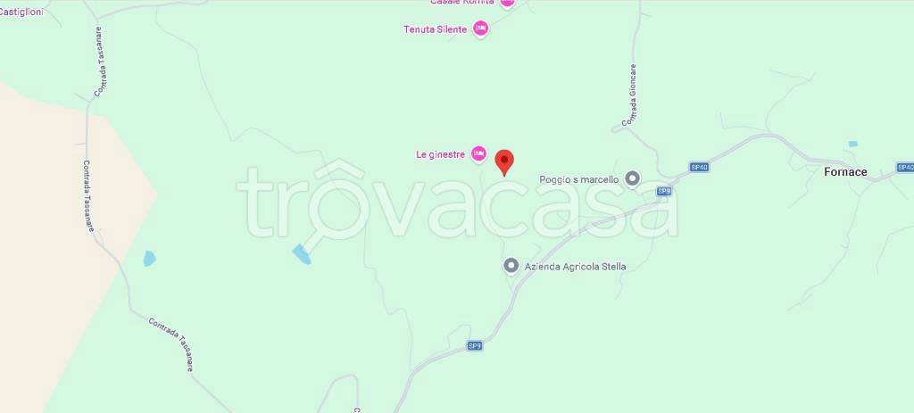 immagine annuncio 10 di 12