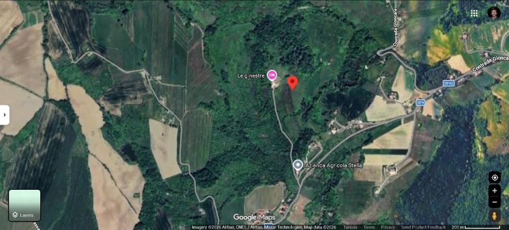 immagine annuncio 11 di 12