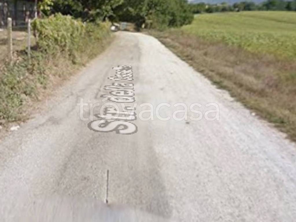 immagine annuncio 6 di 11