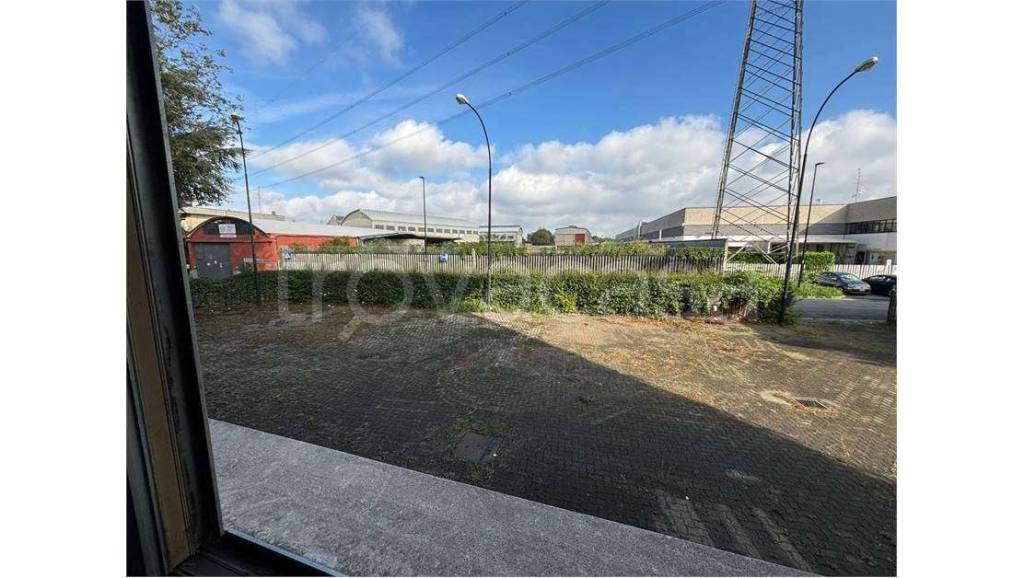 immagine annuncio 9 di 12