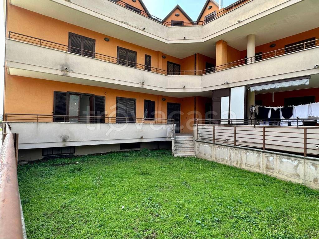 immagine annuncio 5 di 8