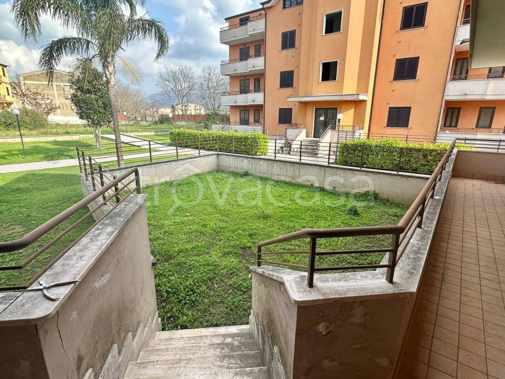 immagine annuncio 6 di 8