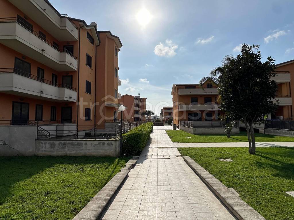 immagine annuncio 3 di 8