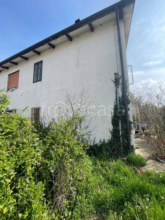 immagine annuncio 4 di 7