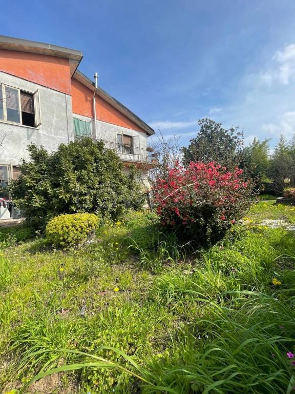 immagine annuncio 1 di 7