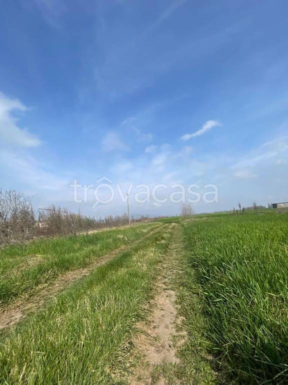 immagine annuncio 5 di 7