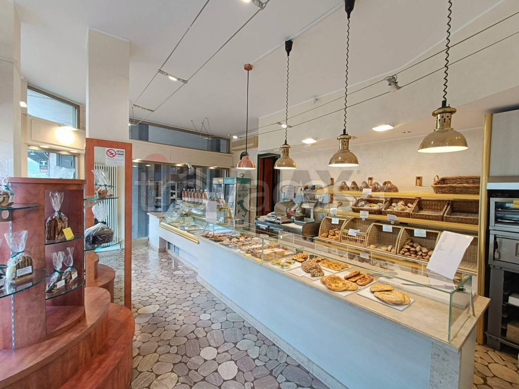 immagine annuncio 3 di 11