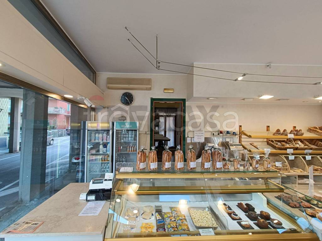 immagine annuncio 5 di 11