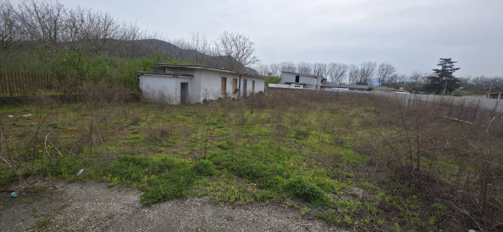 immagine annuncio 1 di 6