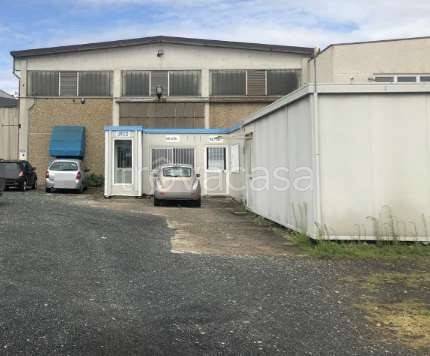 immagine annuncio 1 di 9