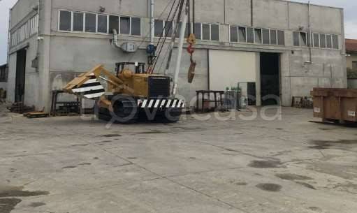 immagine annuncio 3 di 9