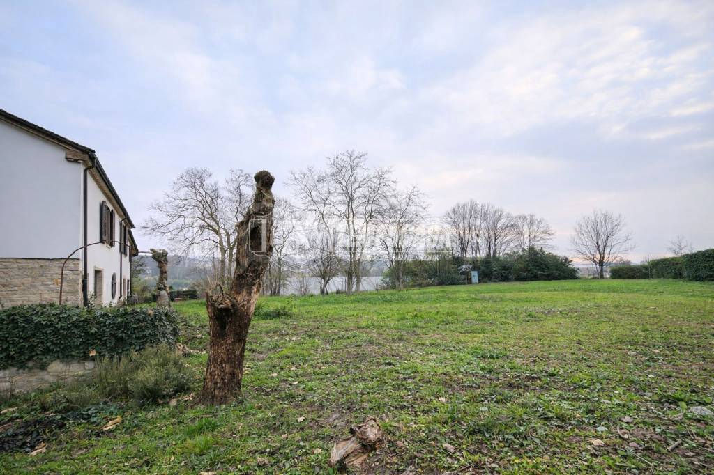 immagine annuncio 9 di 14