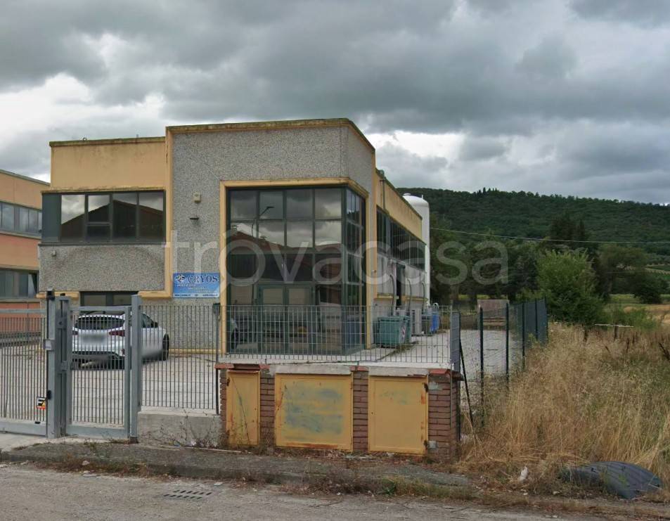 immagine annuncio 1 di 2