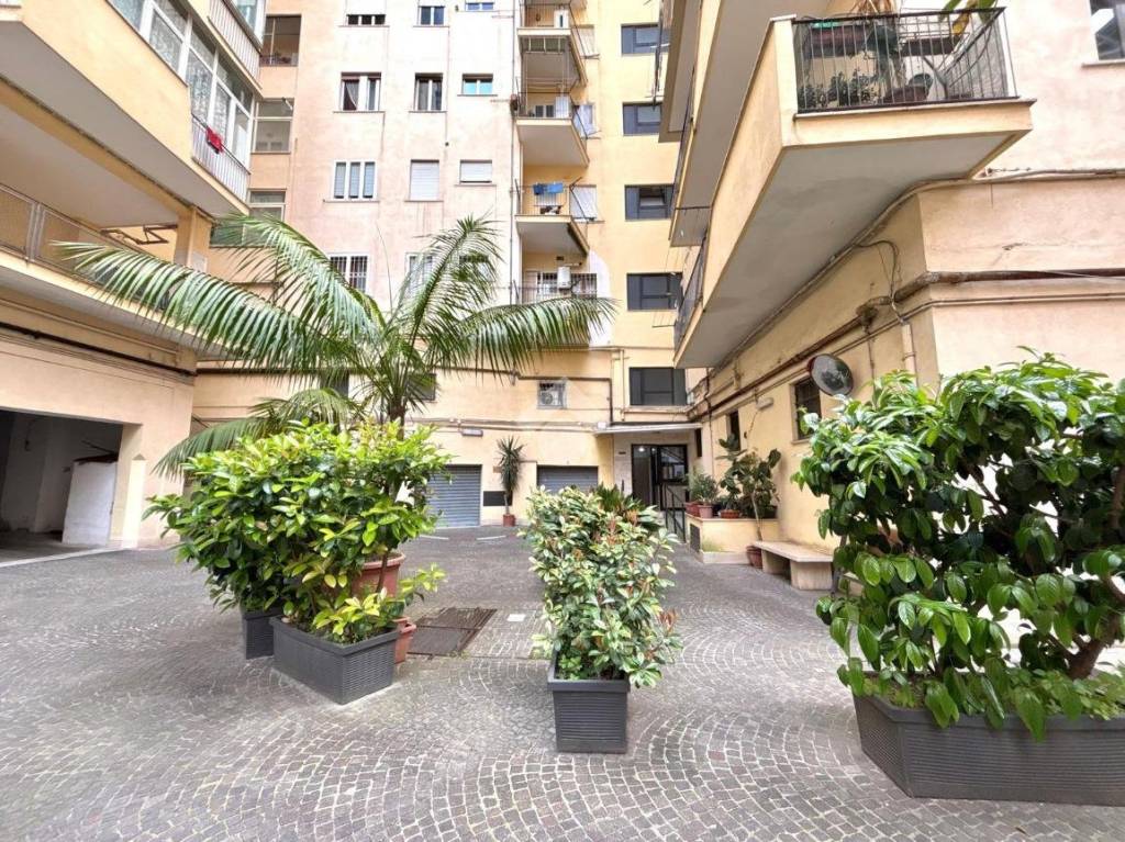 immagine annuncio 2 di 13