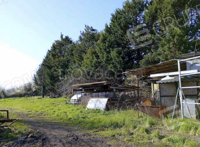 immagine annuncio 2 di 8