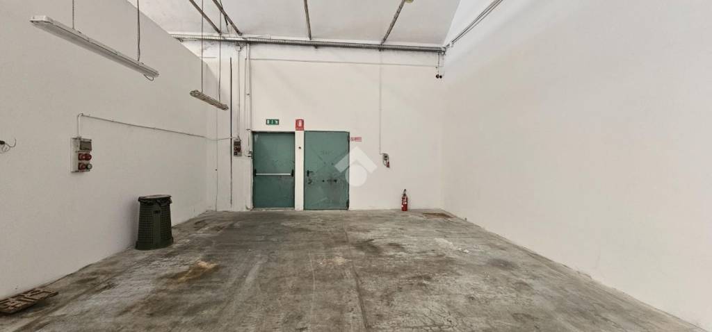 immagine annuncio 5 di 12