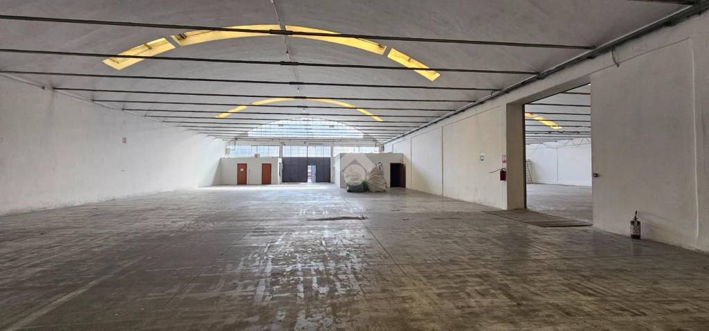 immagine annuncio 6 di 12