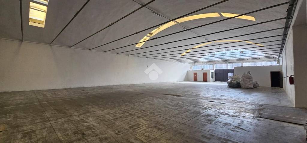 immagine annuncio 7 di 12