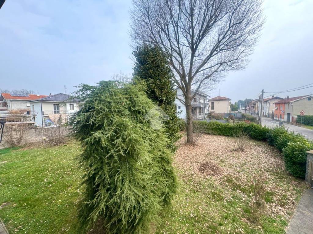 immagine annuncio 4 di 7