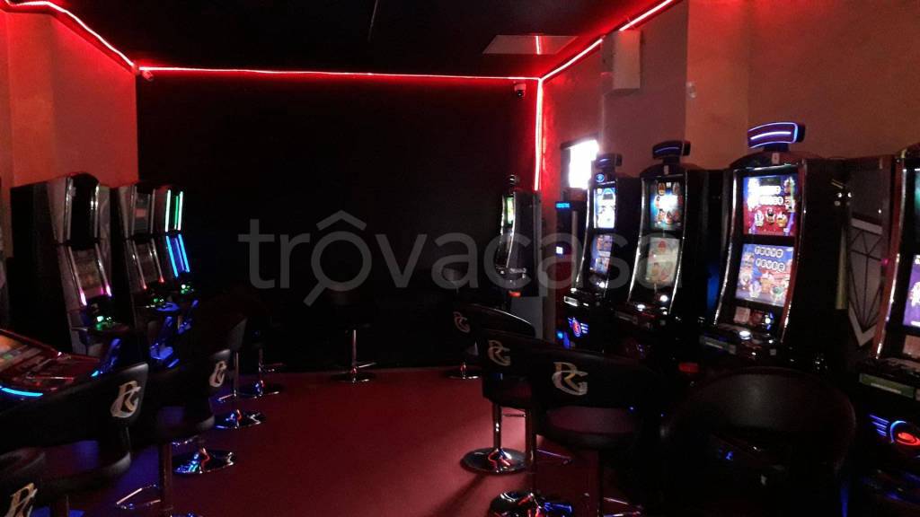 immagine annuncio 3 di 11