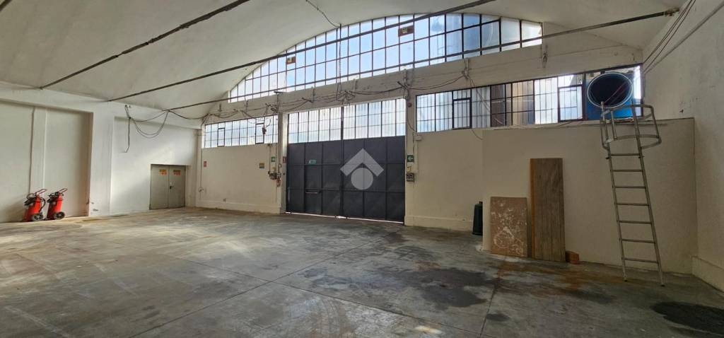 immagine annuncio 4 di 14