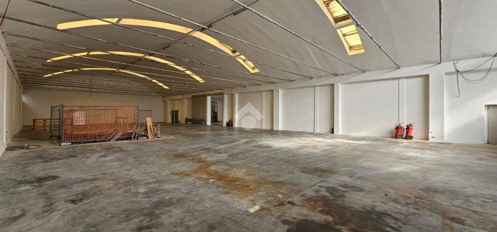 immagine annuncio 6 di 14