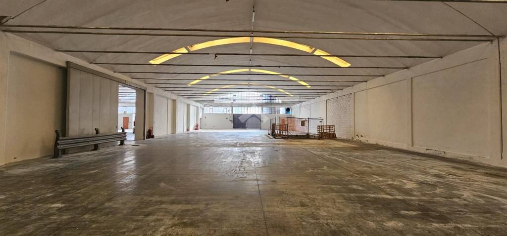 immagine annuncio 7 di 14