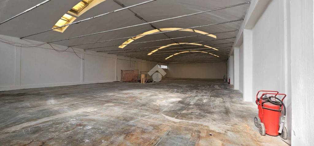 immagine annuncio 8 di 14