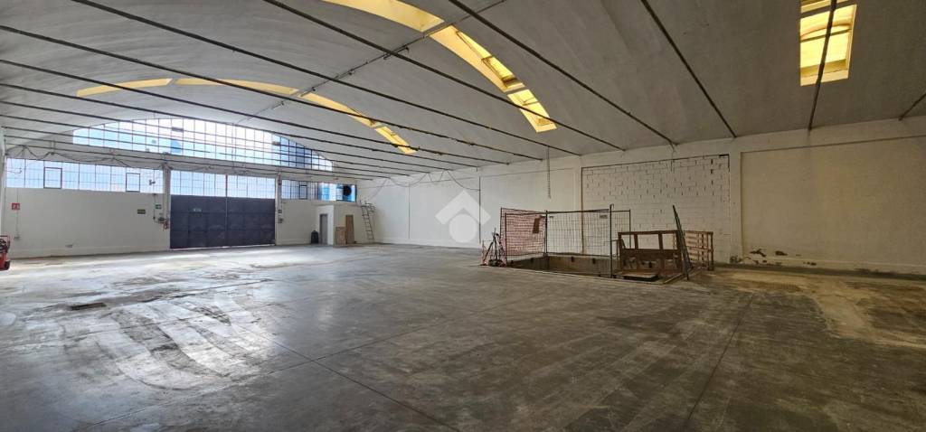 immagine annuncio 9 di 14