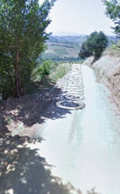 immagine annuncio 3 di 11