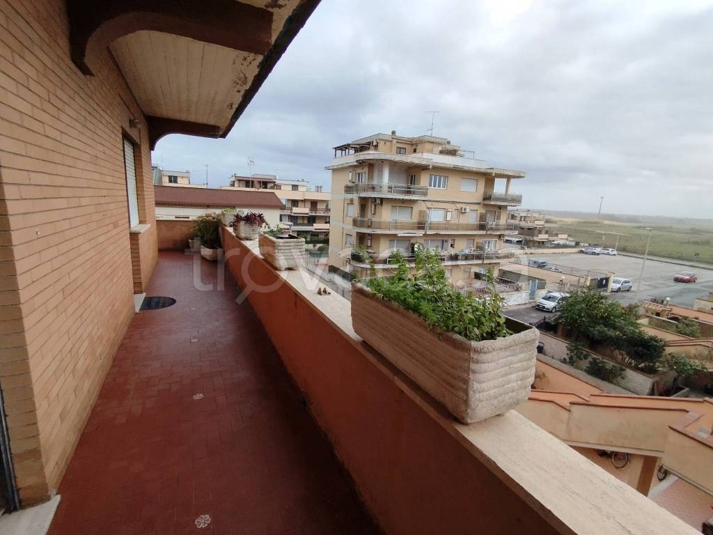 immagine annuncio 4 di 12