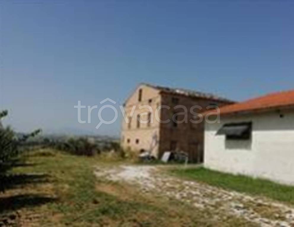 immagine annuncio 7 di 11