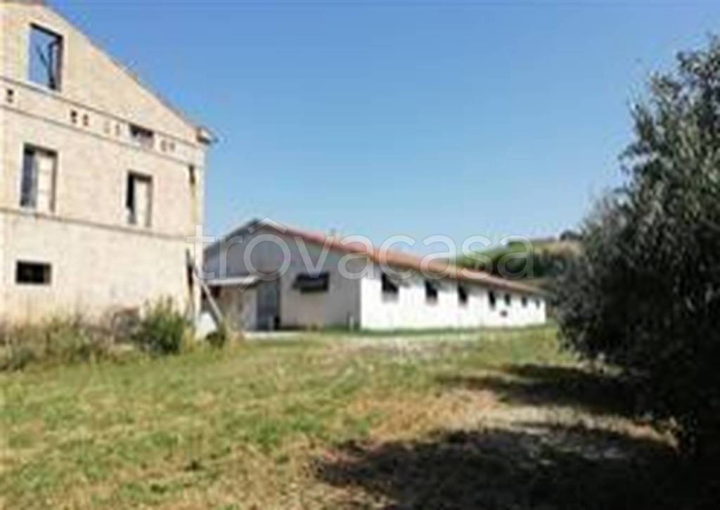 immagine annuncio 8 di 11