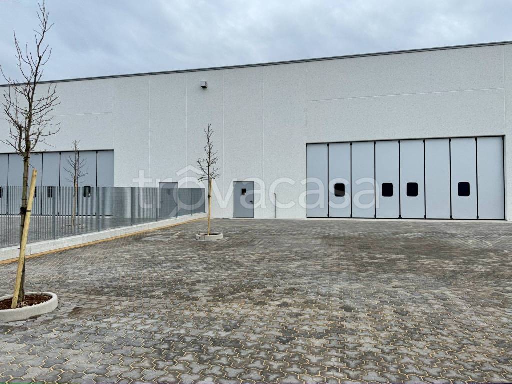 immagine annuncio 7 di 8