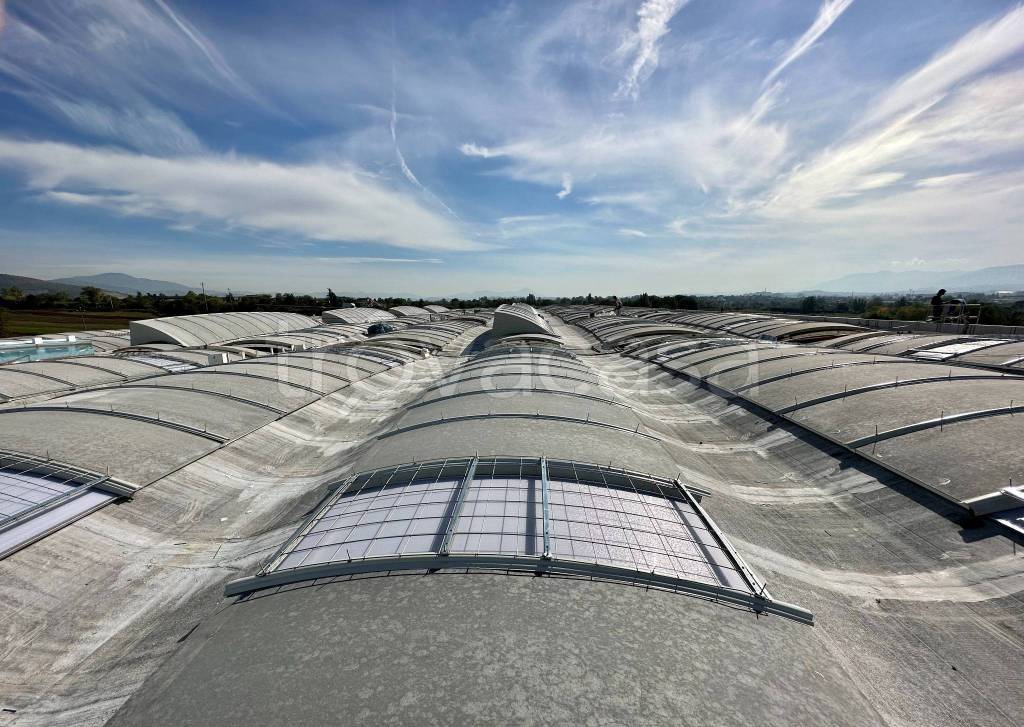 immagine annuncio 4 di 8