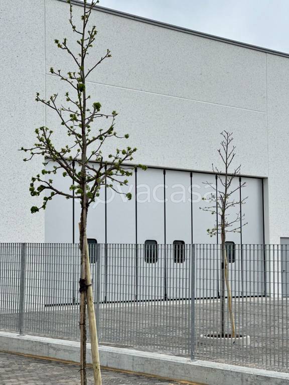 immagine annuncio 5 di 8