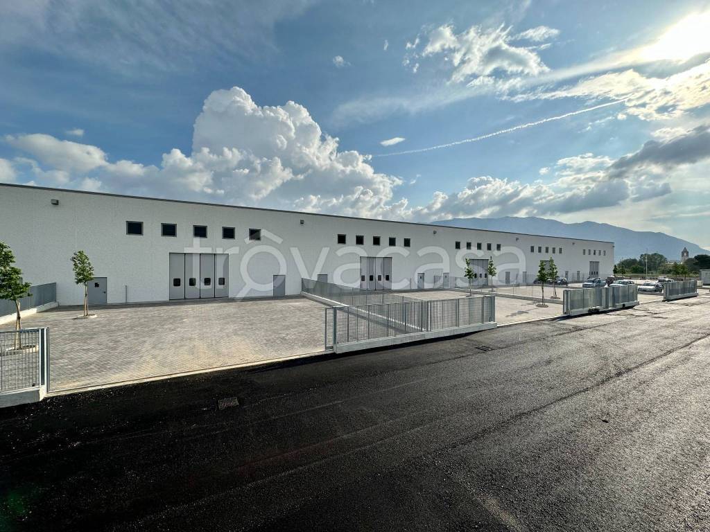 immagine annuncio 6 di 8