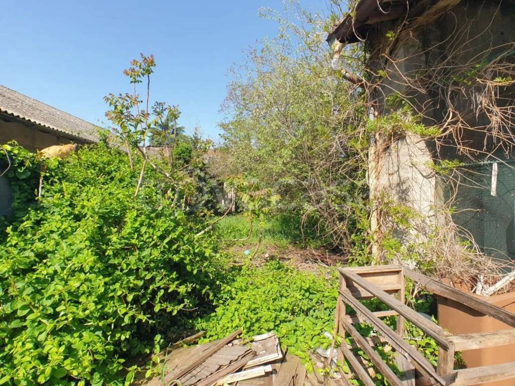 immagine annuncio 1 di 14