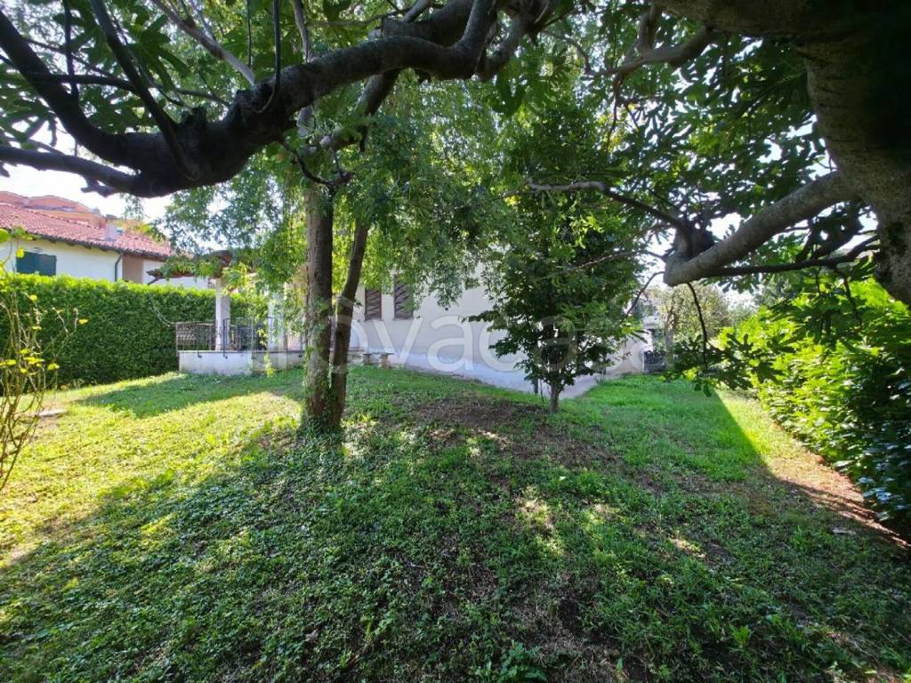 immagine annuncio 6 di 14