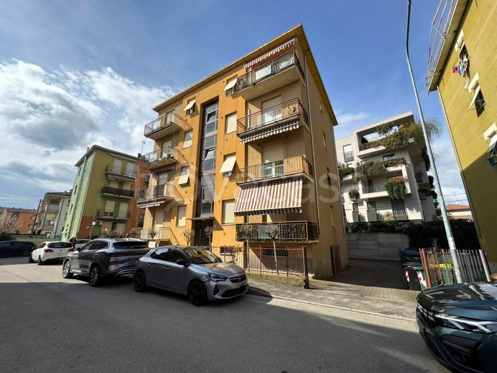 immagine annuncio 3 di 15