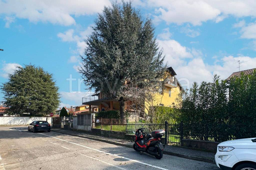 immagine annuncio 4 di 15