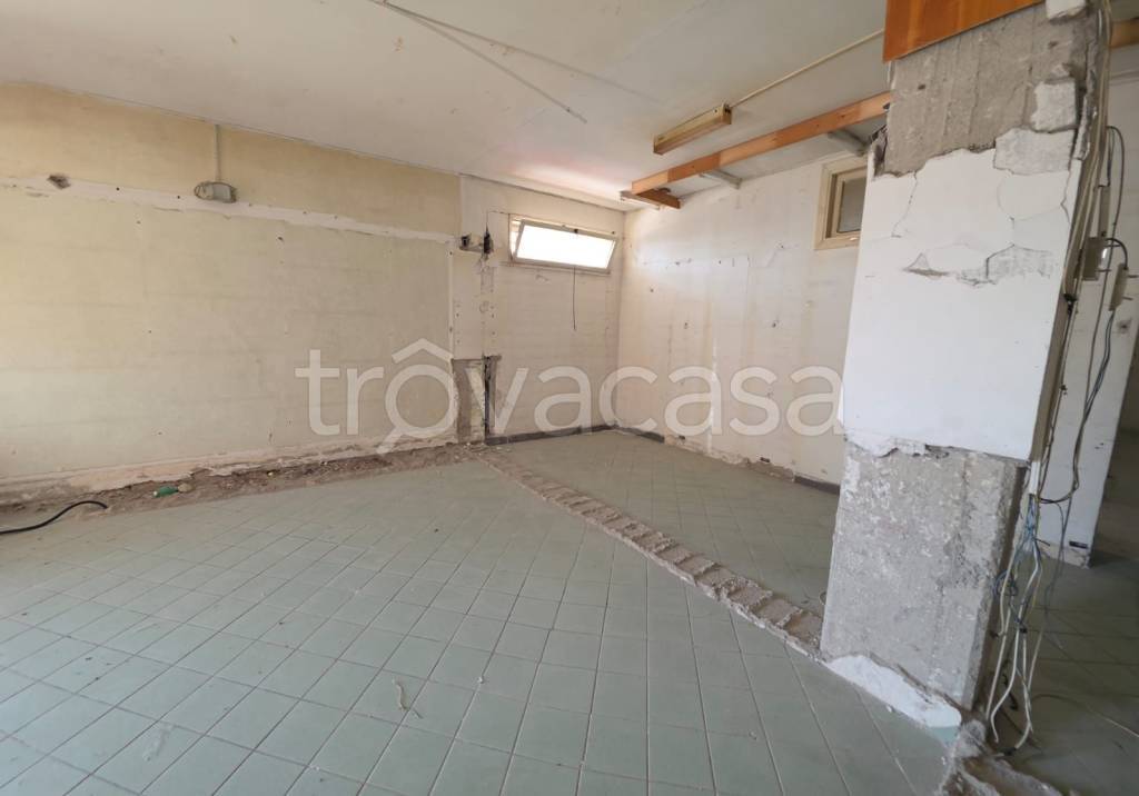 immagine annuncio 6 di 14