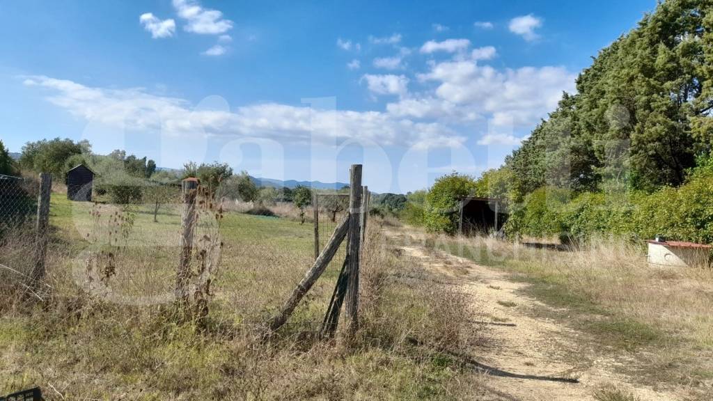 immagine annuncio 3 di 9