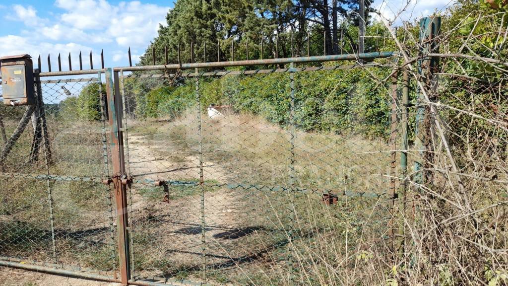 immagine annuncio 4 di 9