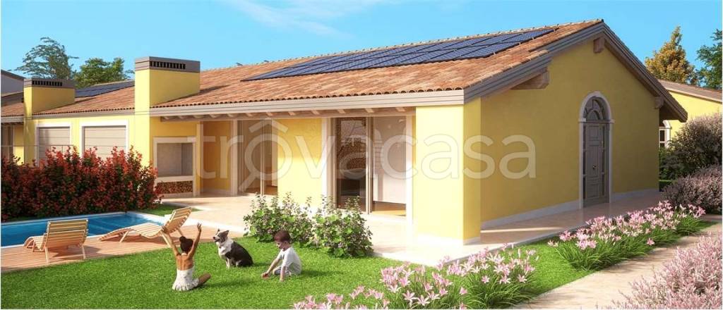 immagine annuncio 2 di 11