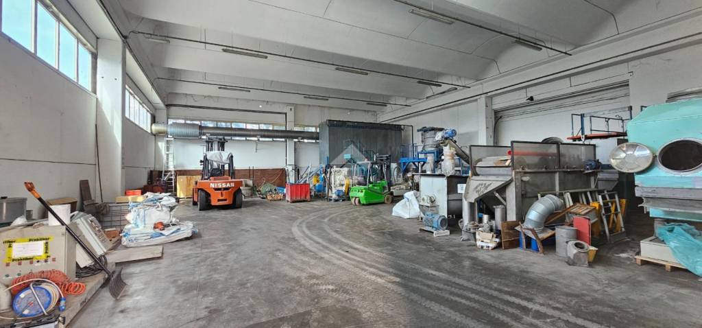 immagine annuncio 1 di 12