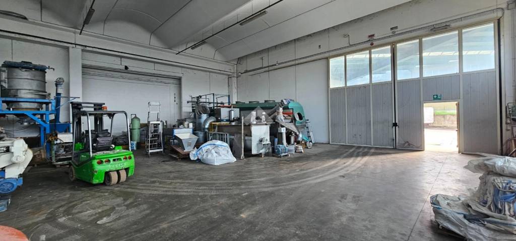 immagine annuncio 2 di 12